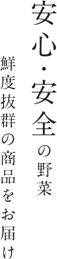 安心・安全の野菜 鮮度抜群の商品をお届け